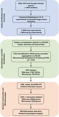 Transcriptomic Landscape of Herbivore Oviposition in Arabidopsis: A Systematic Review